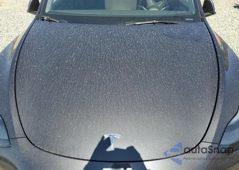 2024 Tesla Model Y из США, поврежденный, VIN 7SAYGDED9RA331305